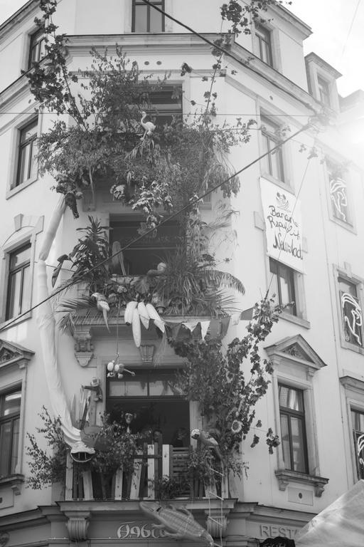 Mirabelle - Wohnen In Der Dresdner Neustadt Dresden Exterior photo